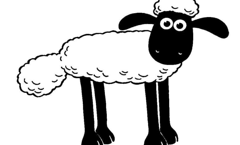 Sheep Black White Coloring Page