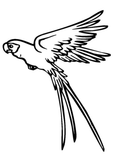 Simple Animal Parrot Coloring Page