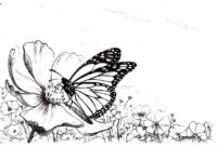 Sky Flowers Butterflies Coloring Page