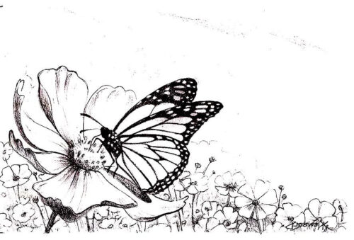 Sky Flowers Butterflies Coloring Page 1 Sky Flowers Butterflies Coloring Page