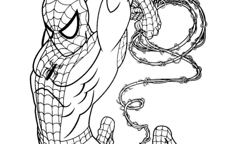 Spiderman Attack Coloring Page
