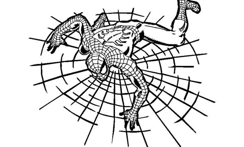 Spiderman Difficult Coloring Page