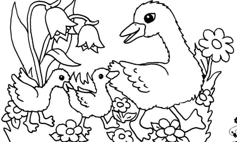 Spring Ducks Coloring Page