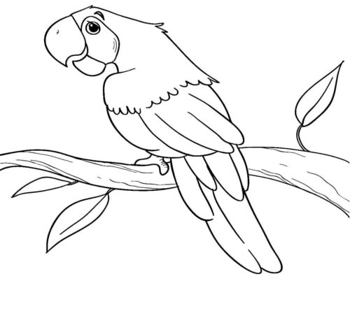 Tree Branch Parrot Coloring Page