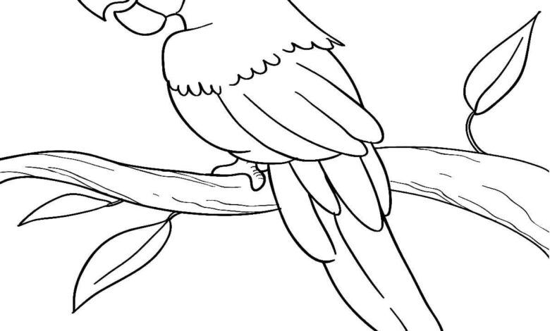 Tree Branch Parrot Coloring Page