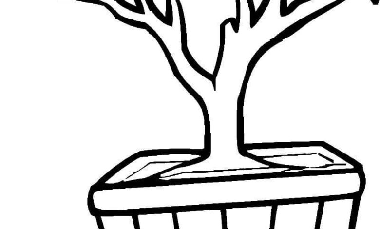 Tree Trunk Coloring Page