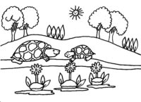 Turtles Trees Summer Coloring Page
