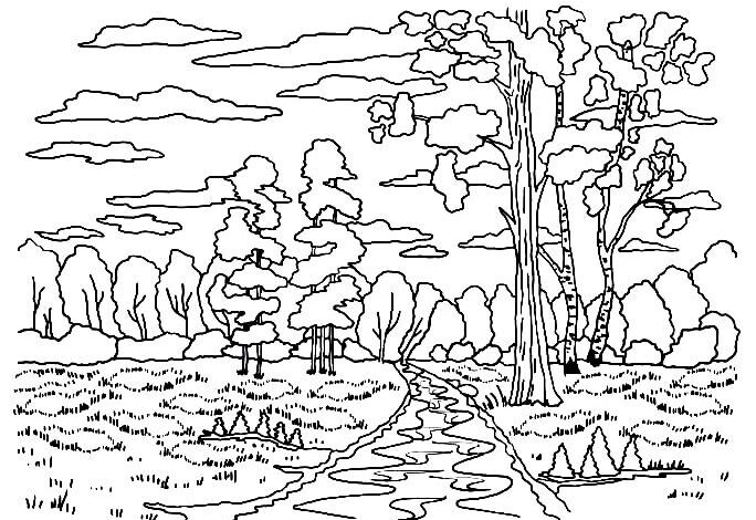 View Fall Coloring Page