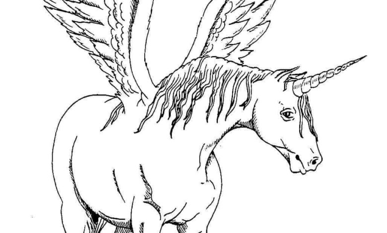 Winged Unicorn Coloring Page
