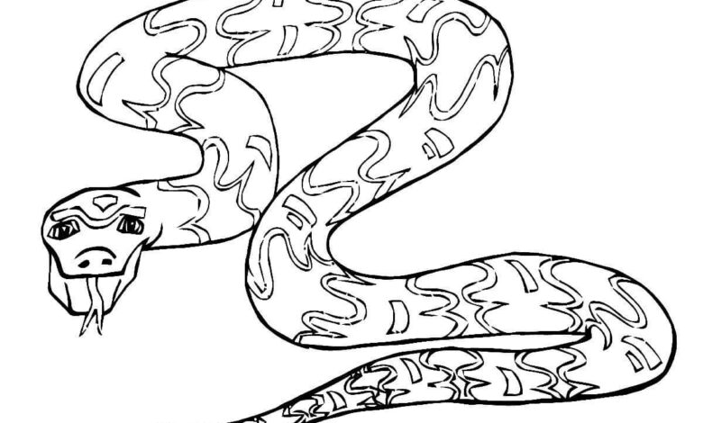 Patterned Snake Coloring Page