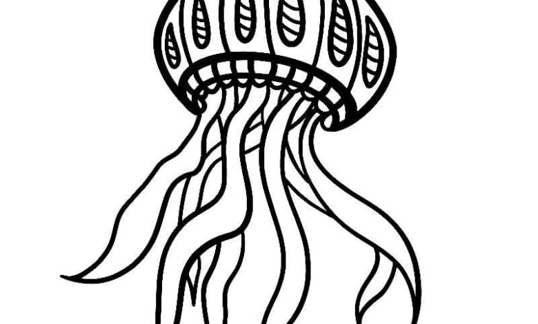 Realistic Jellyfish Coloring Page