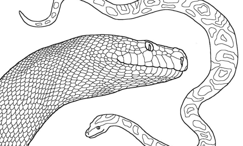 Wild Snakes Coloring Page