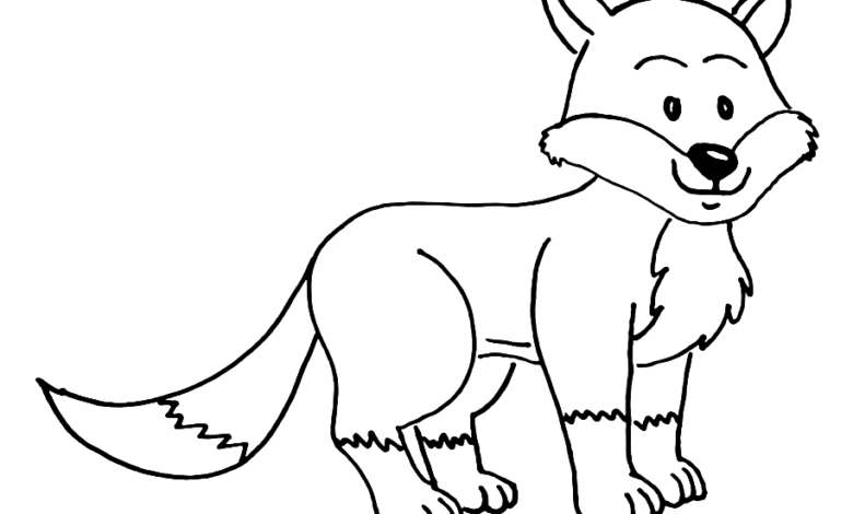 Animal Fox Different Coloring Page