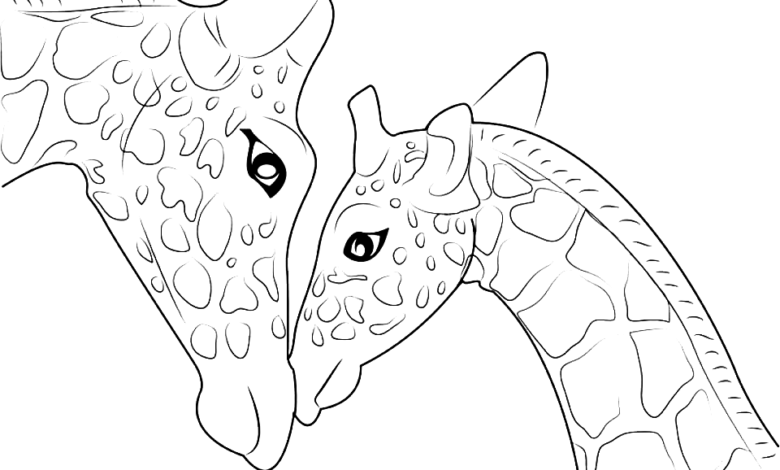 Animals Giraffes Coloring Page