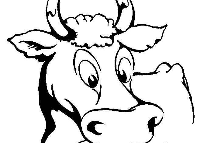 Cow Face Coloring Page