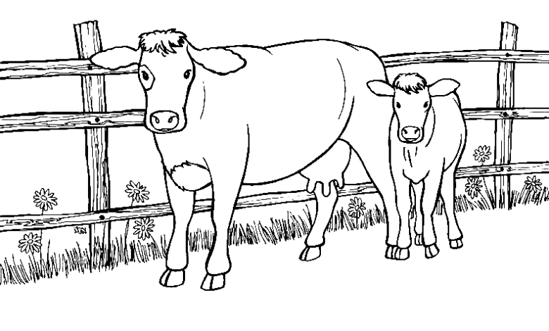 Farm Cow Coloring Page