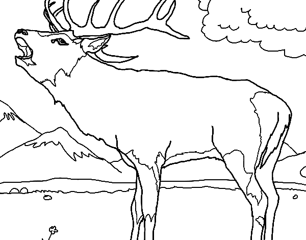Forest Reindeer Coloring Page
