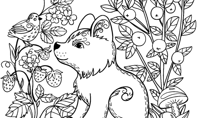 Fox Bird Flowers Nature Coloring Page