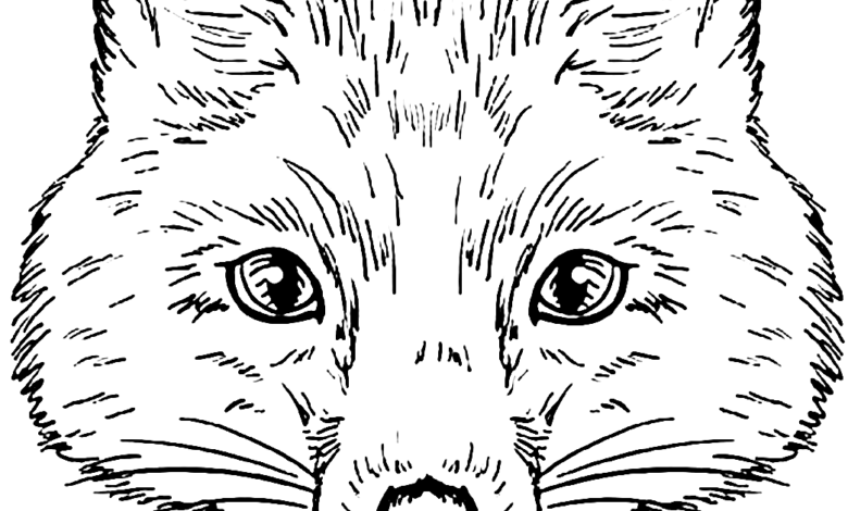 Fox Bowtie Coloring Page