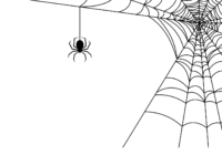 Full Page Spider Web Coloring Page