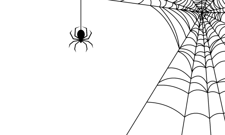 Full Page Spider Web Coloring Page