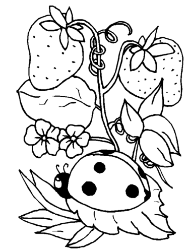 Ladybird Strawberry Coloring Page