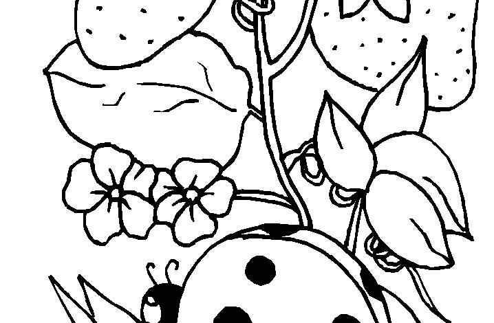 Ladybird Strawberry Coloring Page