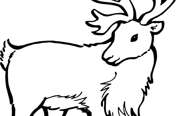 Minimal Realistic Reindeer Coloring Page