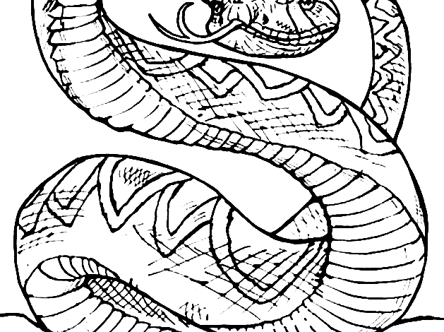 Patterned Snake Coloring Page