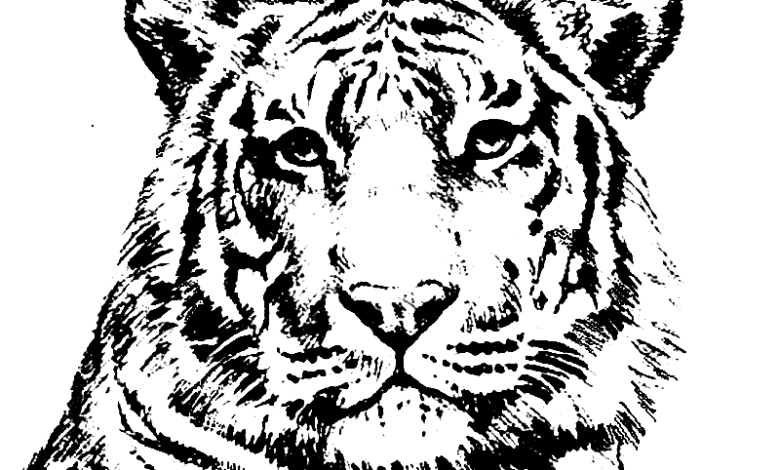 Realistic Animal Tiger Coloring Page