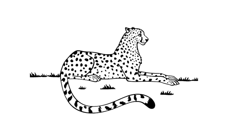 Sitting Cheetah Coloring Page
