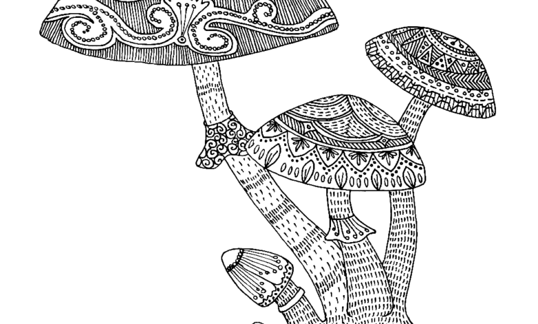 Snail Mushrooms Coloring Page