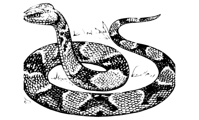 Sneaky Snake Coloring Page
