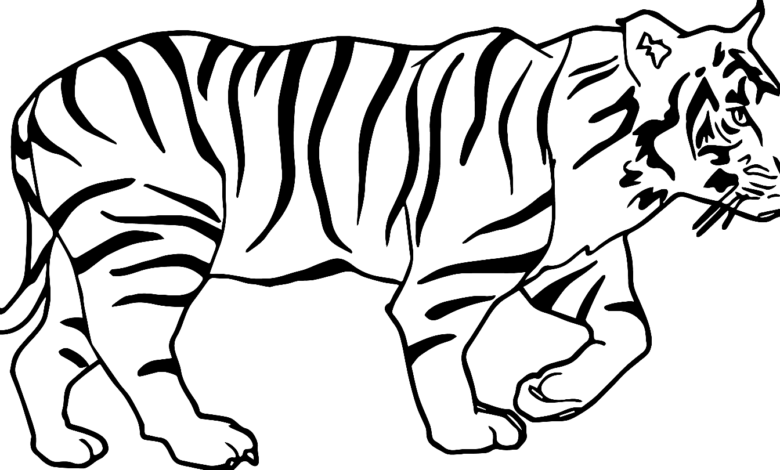 Walking Tiger Coloring Page