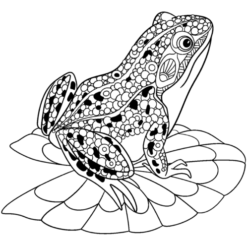 Aesthetic Scaly Frog Coloring Page