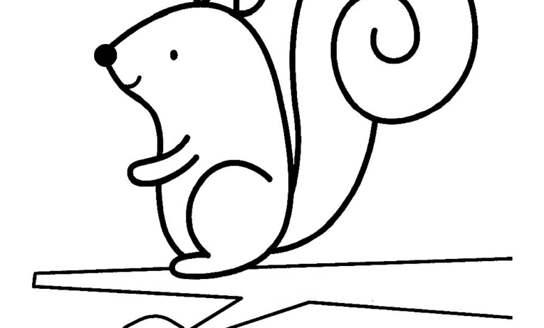 Animal Cute Squirrel Easy Coloring Page