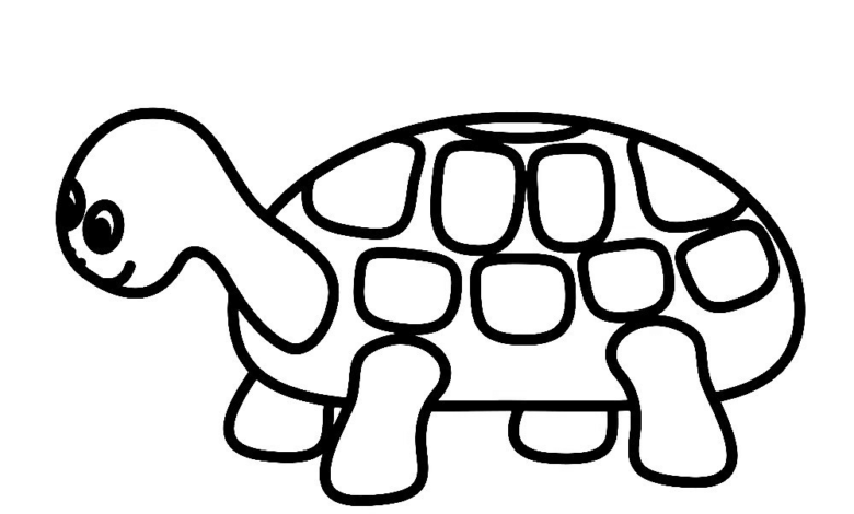 Animal Cute Turtle Easy Coloring Page