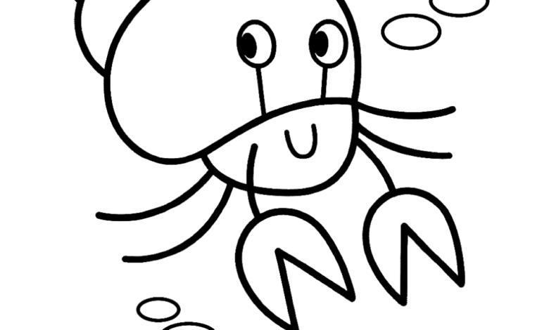 Animal Hermit Crab Easy Coloring Page