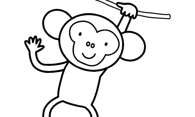 Animal Monkey Easy Coloring Page