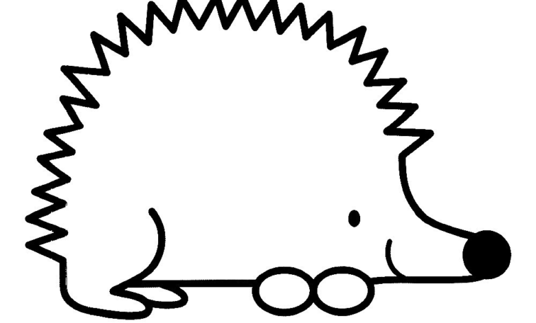 Animal Prickly Hedgehog Coloring Page