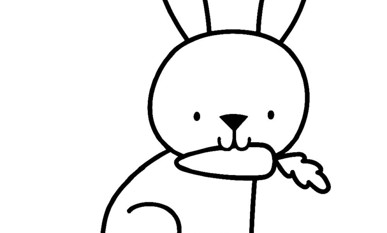 Animal Rabbit Carrot Coloring Page