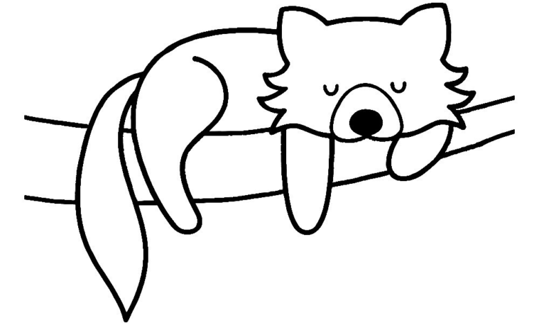 Animal Red Panda Easy Coloring Page