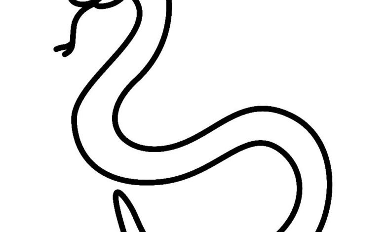 Animal Snake Easy Coloring Page