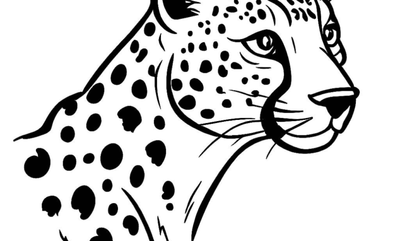 Beautiful Cheetah Head Coloring Page
