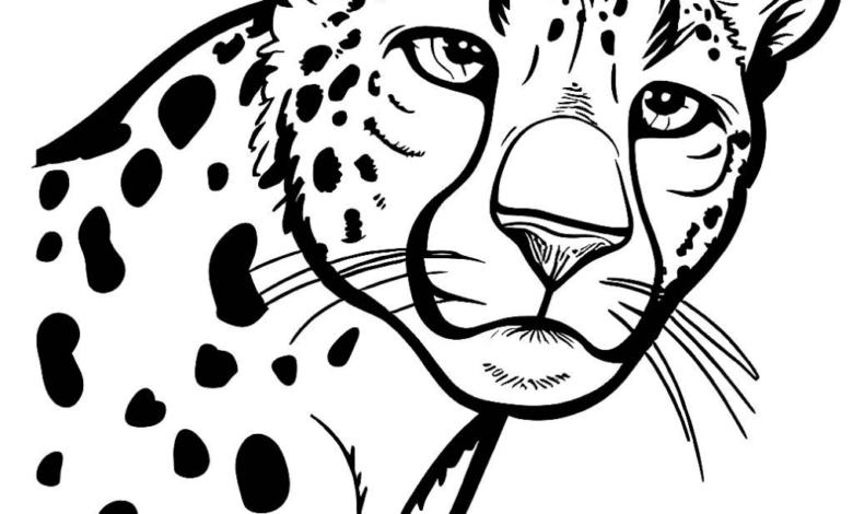 Cheetah Portrait Coloring Page