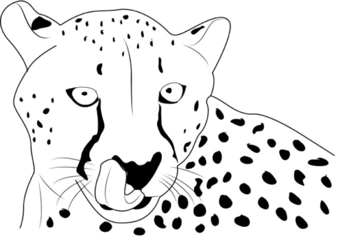 Cheetah Tongue Coloring Page