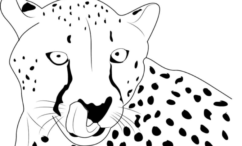 Cheetah Tongue Coloring Page
