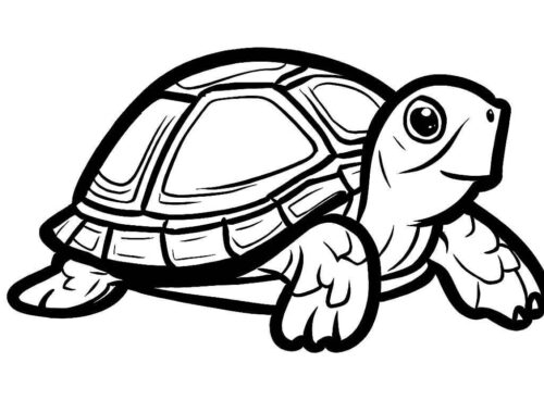 Cute Detailed Turtle Coloring Page