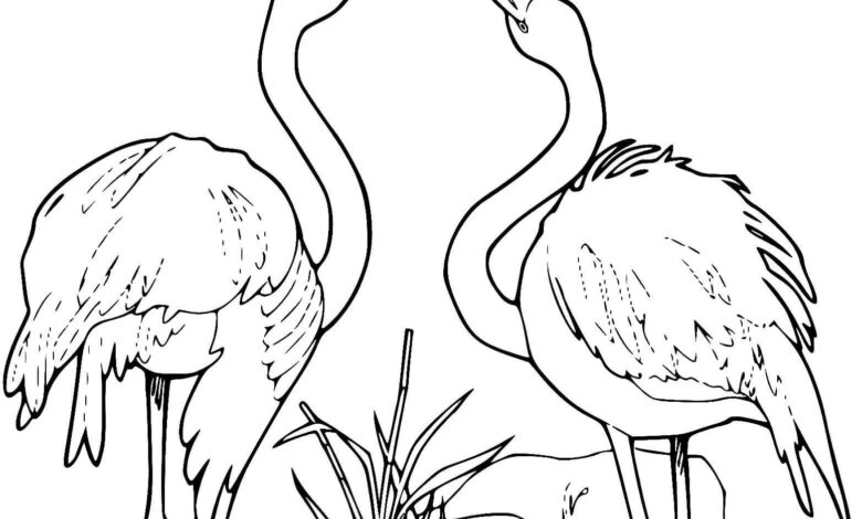 Flamingos Happy Coloring Page