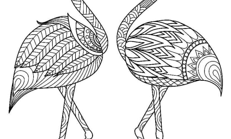 Flamingos Mandala Coloring Page